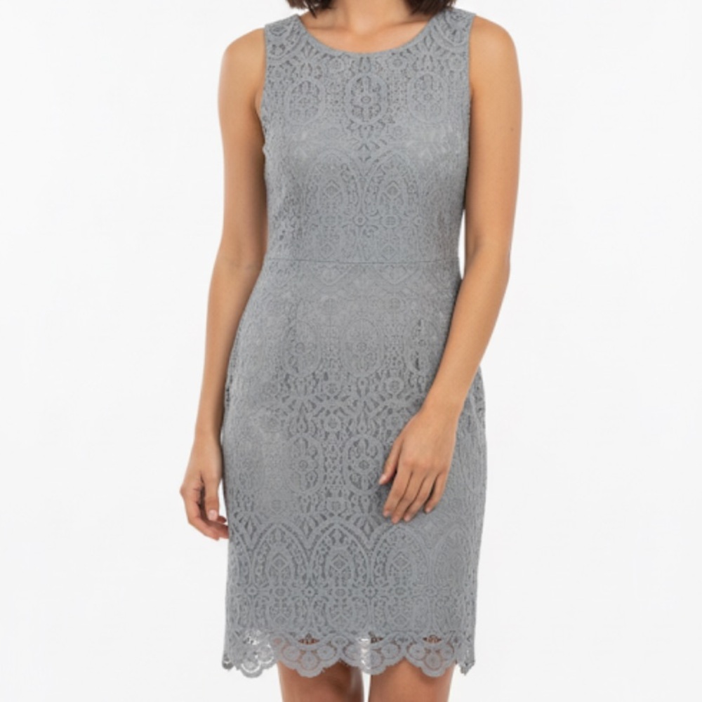 PinkBlush NWOT Lacey Stretchy Lined Zip Back Dress